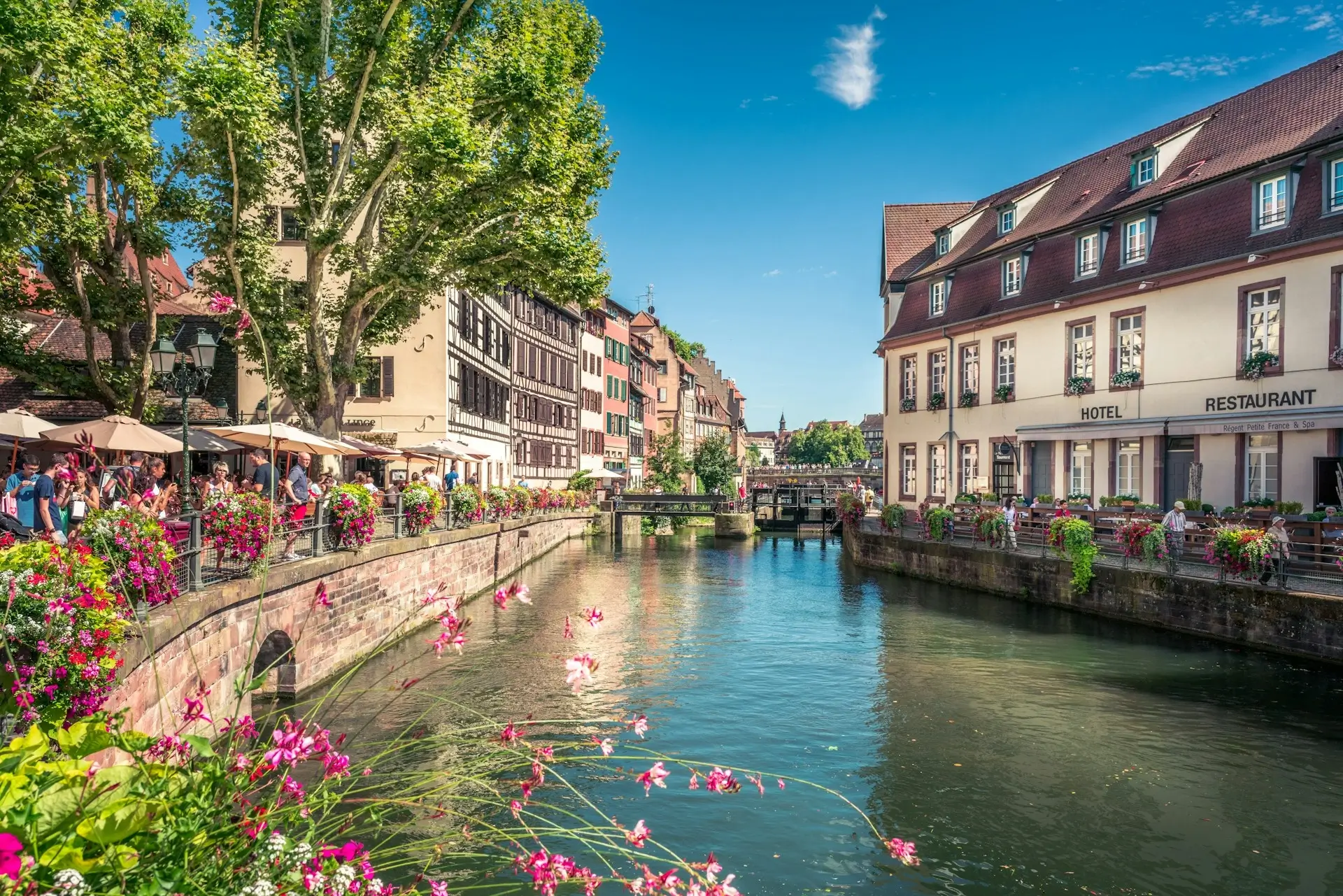 Automatisation IA Strasbourg